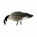 AXP Full-Body Painted Lesser Canada Feeder Decoys with 6-Slot Decoy Bag