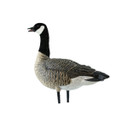 AXP Outfitter Lessers Canada Goose Decoys with 12-Slot Decoy Bag, 12 Pack