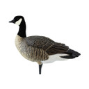 Avian-X AXF Outfitter Lesser Pack Fully Flocked Decoys, 12 Pack with Slotted Decoy Bag Image