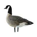 AXF Outfitter Lesser Pack Fully Flocked Decoys, 12 Pack with Slotted Decoy Bag