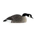 AXP Painted Honker Shell Goose Decoys - 6 Pack