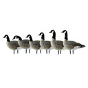 Avian-X Painted Full Body Lesser Canada Goose Decoys - Action 6 Pack Image