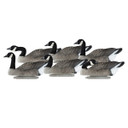 Dakota Decoys X-Treme Canada Goose Floaters, 6 Pack Image