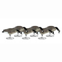Signature Series Fully Flocked Feeder Canada Geese Decoys, 6 Pack