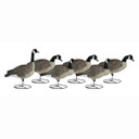 Signature Series Upright Canada Geese Decoys, 6 Pack