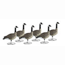 Signature Series Sentry Canada Geese, 6 Pack