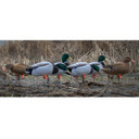 Higdon Magnum Full-Body Mallard, Variety 6 Pack with Flocked Heads and Free Bag Image