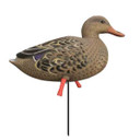 Higdon Magnum Full-Body Mallard, Variety 6 Pack with Flocked Heads and Free Bag Image