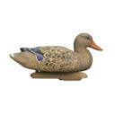 Side Low Head Hen Image of the Higdon Outdoors Battleship Foam-Filled Mallard Decoys.