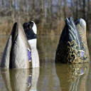 Magnum Duck Butt Mallard Foam Filled Drake & Hen Decoys