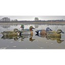 Standard Early Season Puddle Pack Foam Filled Duck Decoys, 6 Pack