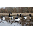 Higdon Outdoors Alpha Magnum Canada Goose Floater Decoys 4 Pack Lifestyle Image
