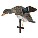 Lucky Duck Lucky HD Hen Spinning Wing Decoy Front Image