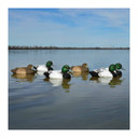 Standard Bluebill Foam Filled Duck Decoys, 6 Pack