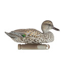 Dakota Decoy X-Treme Floating Green-Winged Teal Decoys Product Image