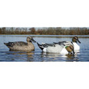 Higdon Outdoors Battleship Pintail Foam Filled Decoys Lifestyle Image
