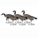 Dakota Decoys Signature Series Lesser Canada Goose Decoys Product Image