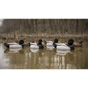 Higdon Magnum Mallards Foam-Filled Fully Flocked Decoys 6 Pack Field Image