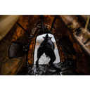 MOmarsh InvisiLab Dog Blind Inside Image