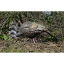 Higdon TruFeeder XS Motion Turkey Hen Decoy Motion Image