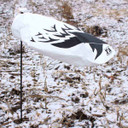 Snow Goose Wind Socks - 10 Dozen