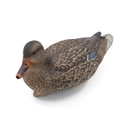 Live Mallard EVA Floaters hen tilted image