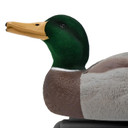 Live Mallard EVA Floaters close up head up drake image