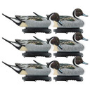 Final Approach Live Pintail Floater Duck Decoys 6 Pack image