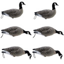 Final Approach Live Full-Body Lesser Canada Goose Decoy - 6 Pack Image