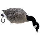 Final Approach Live Full-Body Lesser Canada Goose Decoy Angled Feeder Image