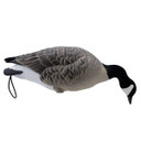 Final Approach Live Full-Body Lesser Canada Goose Decoy Feeder Image