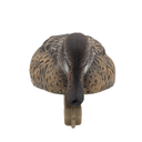 Final Approach HD Greenwing Teal Floater Hen Feeding Top Image