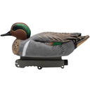 Final Approach HD Greenwing Teal Floater Drake Right Side Image