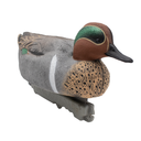 Final Approach HD Greenwing Teal Floater Drake Front Angled Image