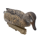 Final Approach HD Greenwing Teal Floater Hen Feeding Front Angled Image
