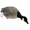 LIVE Fully Flocked Full Body Lesser Canada Geese, 6 Pack