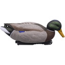 HD Floating Mallards Painted 6 Pack