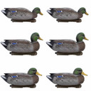 Final Approach Live Early Season Mallard Duck Decoys 6 Pack Image