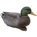 Final Approach Live Early Season Mallard Duck Upright Decoy Front Angled Image