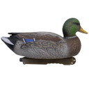 Final Approach Live Early Season Mallard Duck Upright Decoy Side Image