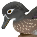 Head hen image of the LIVE Floating Wood Duck Decoys.