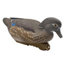 LIVE Floating Wood Duck Decoys - 6 Pack