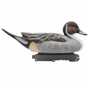 Bonus Duck Pack Decoys, 6 Pack