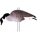 Last Pass Canada Goose Silhouette Decoys with Hard Case Pack - 60 Pack