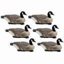 Last Pass Canada Goose Floaters with Flocked Heads, 6 Pack