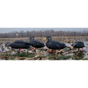 Magnum Full-Body Black Duck Decoys, Variety 6 Pack