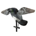 Lucky HD Pigeon Decoy