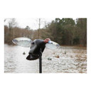 Field Image of the Mojo Elite Series Diver Redhead Spinning Wing Duck Decoy.