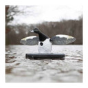 Field Image of the MojoElite Series Floating Bluebill Spinning Wing Duck Decoy.