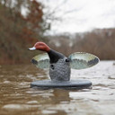 Field Image of the Mojo Elite Series Redhead Floating Spinning Wing Duck Decoy.